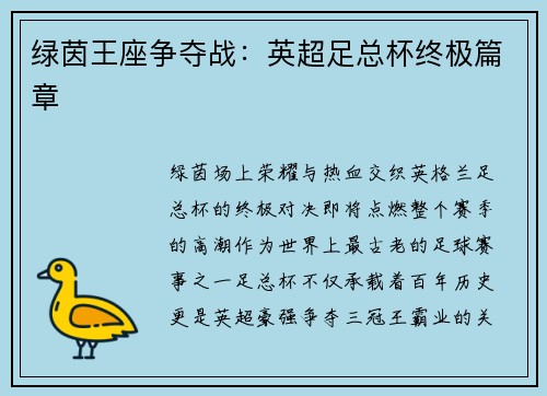 绿茵王座争夺战：英超足总杯终极篇章
